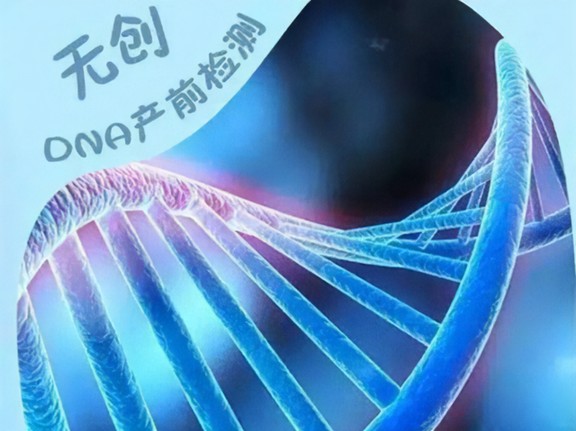 孕期检查
——唐氏筛查、无创 DNA 和产前诊断