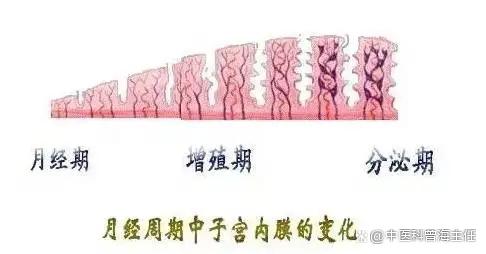 子宫内膜正常厚度是多少？内膜太薄就无法受孕吗？如何治疗？