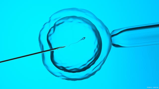 试管婴儿选胚胎还是囊胚？要看你自己的身体情况