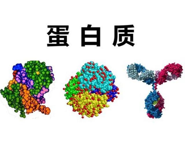 去泰国做试管婴儿，这些身体准备你不得不看！