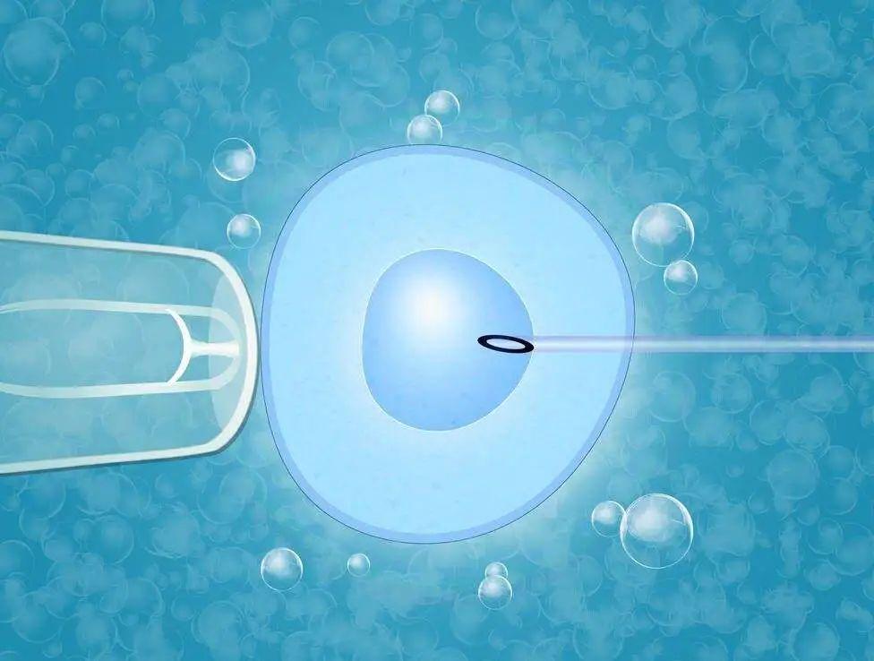 移植4AA优质囊胚不着床的原因有哪些？做好这些提高囊胚着床！