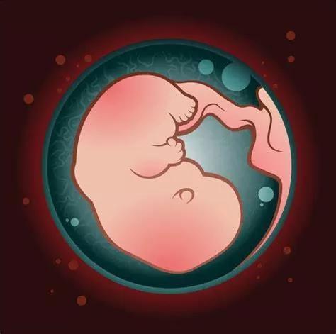 身边的朋友，好多都是两个多月就流产了，胚胎停育到底为什么？
