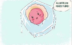 冷冻胚胎移植，应该选择自然周期还是人工周期？