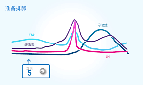 月经结束后多久可测排卵？7-10天左右最佳