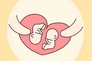 试管婴儿双胞胎的几率有多大？