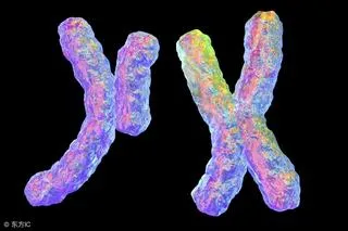 染色体异常是怎么回事？与5个因素有关，易使胎儿致畸