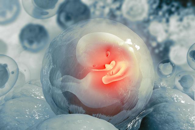 试管婴儿移植鲜胚还是冻胚？应该怎么选择？