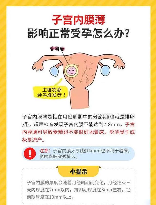 子宫内膜薄会不孕吗？子宫内膜薄对受孕的影响