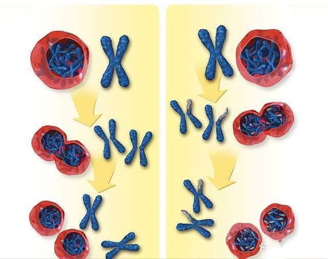 什么是染色体异常？染色体异常离我们并不遥远