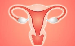 始基子宫是什么？始基子宫导致不孕能做试管婴儿吗？