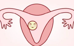 子宫里有囊肿是怎么回事子宫里有囊肿  三代试管科普
