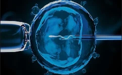 哪个级别的胚胎适合冷冻？试管冻胚级别划分