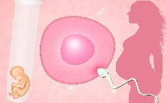 为什么高质量的胚胎也会试管婴儿移植失败？