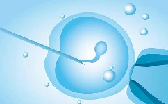 单精子注射前要做什么准备?