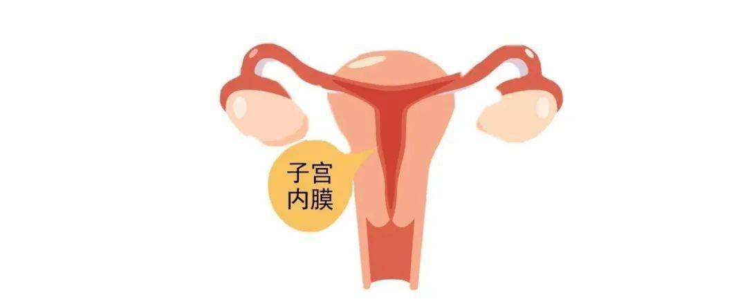 子宫内膜厚度多少才能怀孕？