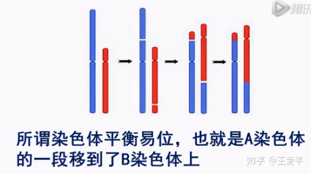 染色体+精子质量三大检查，男性孕前必查利器