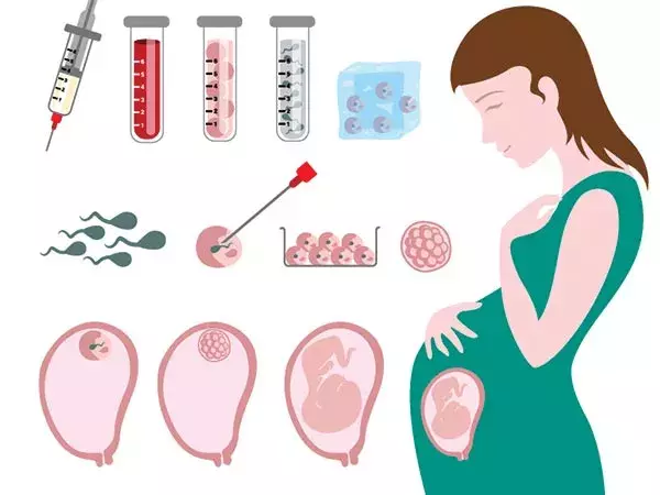 胚胎移植前后要注意什么？生殖医生给出这6条建议