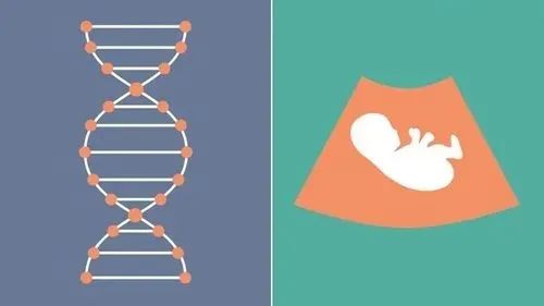 复发性流产患者适合选择辅助生殖技术助孕吗？